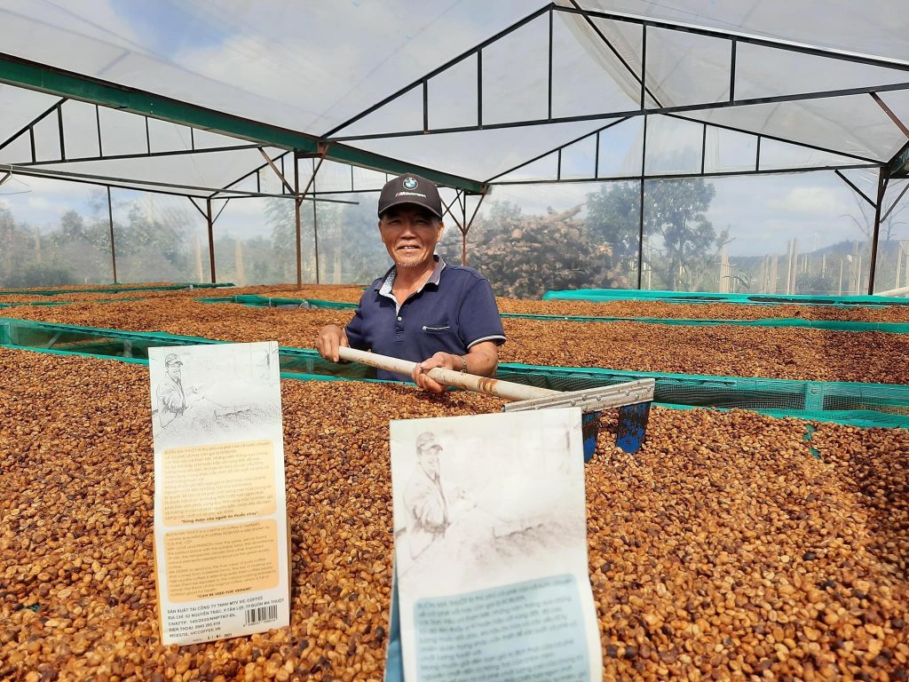 Lịch sử và xuất hiện của cà phê Arabica chất lượng tại Buôn Ma Thuột
