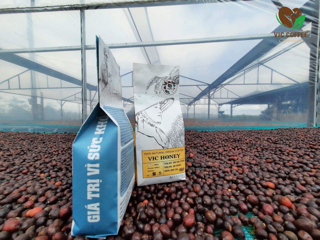 Quy trình cho ra thành phẩm cà phê chất lượng tại nông trại Vic Coffee