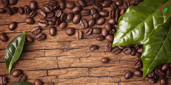 Tại sao Arabica lại được gọi là cà phê chè?