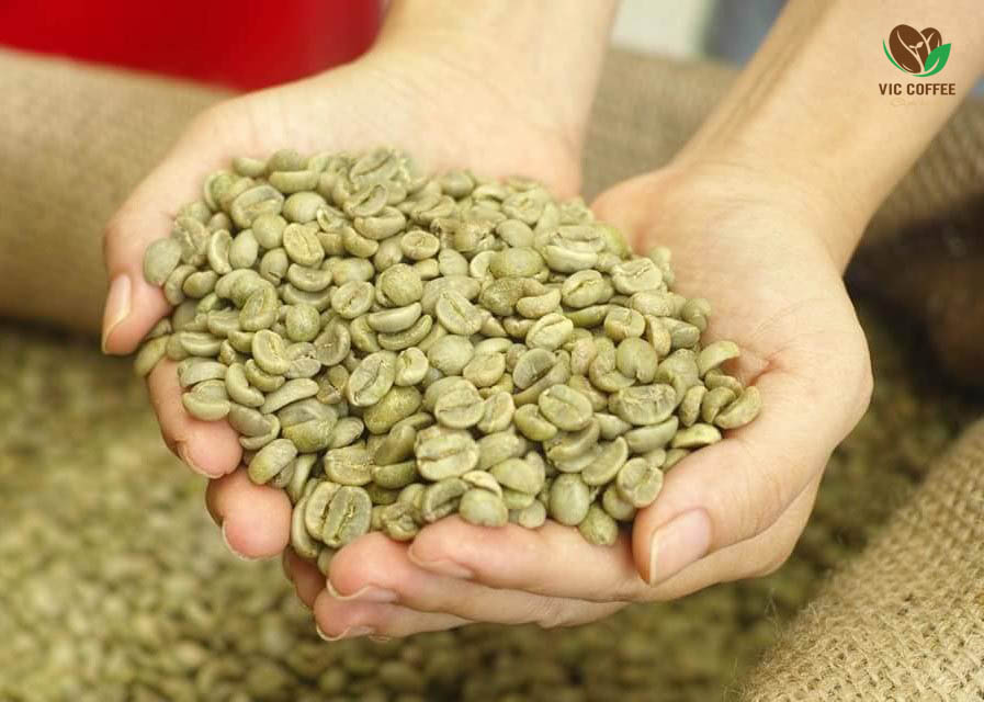 Một lợi ích quan trọng của việc sử dụng nhân xanh trong bảo quản chất lượng cà phê là bạn có thể rang cà phê theo yêu cầu