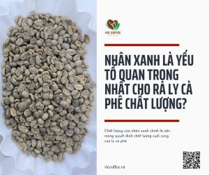 cà phê Arabica nhân xanh